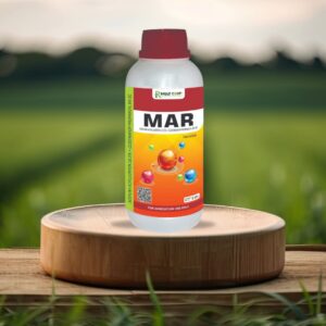 MAR