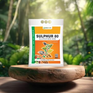 SULPHUR 80 Sulphur 80% WDG