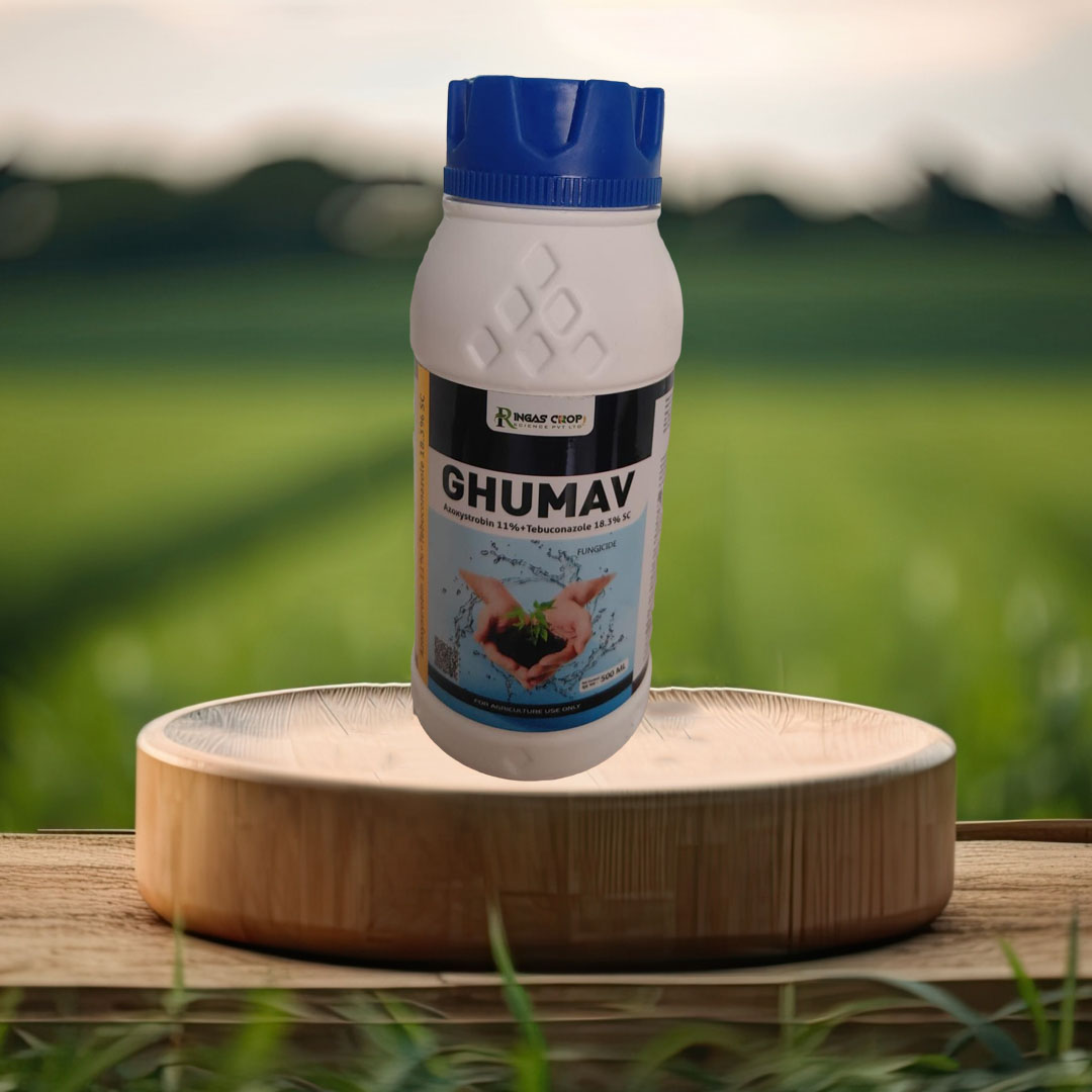 GHUMAV Azoxystrobin 11% Tebuconazole 18.3% SC