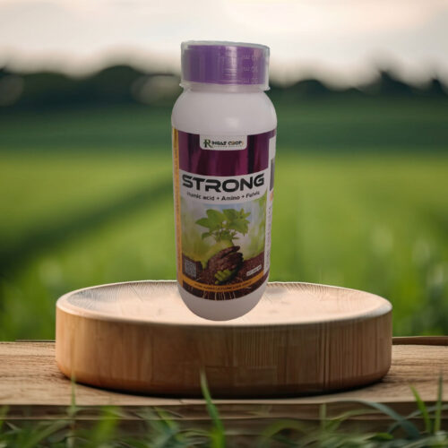 productsss-015