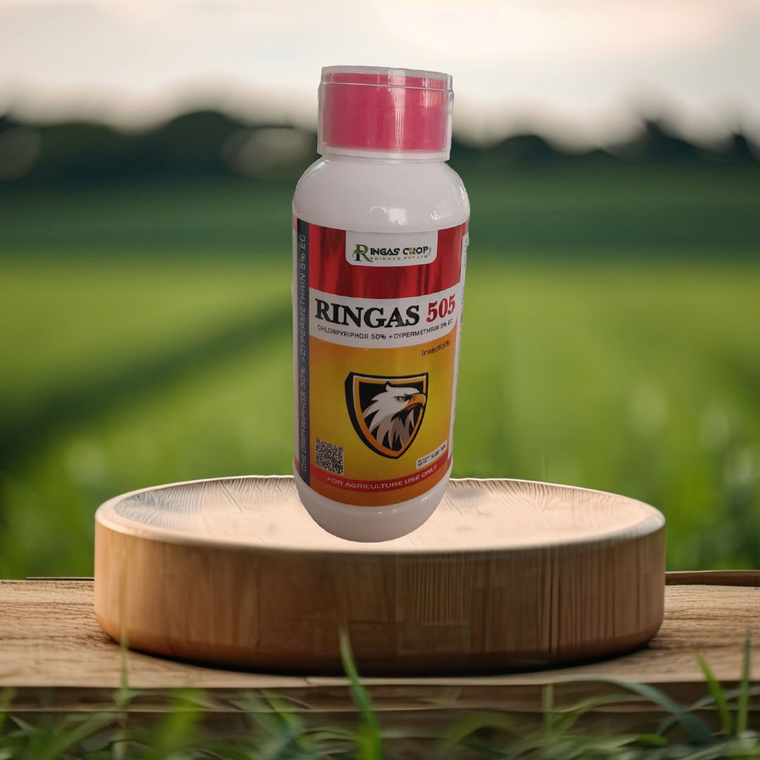 RINGAS 505 Chlorpyriphos 50 % + Cypermethrin 5% EC